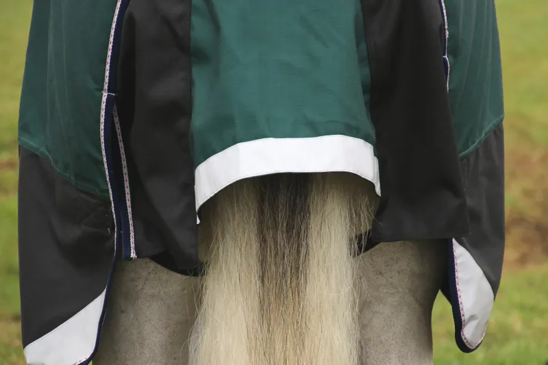 DefenceX System 100g Turnout Rug with Detachable Neck Cover - Black/Green/Navy-2